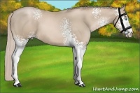 Horse Color:White Spotted Chocolate Palomino Pearl