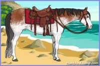 Horse Color:White Spotted Bay Splash 