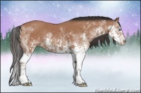 Horse Color:Bay Sabino Splash Rabicano and Bay Sabino Splash Rabicano