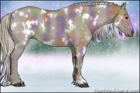 Horse Color:Nacre White Spotted Silver Grullo 