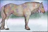 Horse Color:Nacre Silver Black 