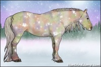 Horse Color:Nacre White Spotted Silver Grullo 