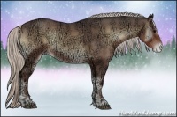 Horse Color:Silver Blue Onyx Ice Sabino Appaloosa 