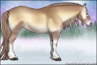 Horse Color:Palomino Onyx Sabino Rabicano 