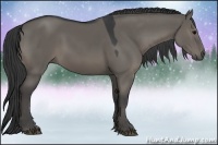 Horse Color:Grullo Sabino Rabicano