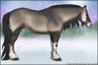 Horse Color:Blue Onyx Sabino Rabicano 