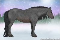 Horse Color:Brown Ice Rabicano