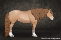 Horse Color:Bay Pearl Sabino 