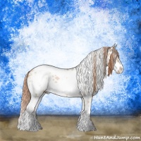 Horse Color:Buckskin Pearl Sabino 