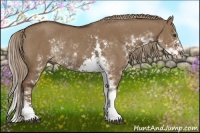 Horse Color:Liver Red Dun Sabino Rabicano