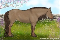 Horse Color:Liver Red Dun Sabino Rabicano