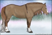 Horse Color:Liver Red Dun Sabino Splash 