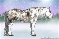 Horse Color:Bay Ice Onyx Sabino 