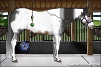 Horse Color:Brown Tobiano Frame Rabicano