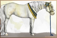 Horse Color:White Spotted Liver Red Dun Pearl Splash Tobiano 