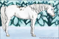 Horse Color:Liver Chestnut Sabino Splash 
