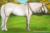 Horse Color:Buckskin Roan Pearl Frame and Silver Buckskin Roan Pearl Frame