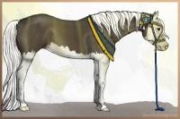 Horse Color:Liver Chestnut Splash 
