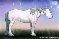 Horse Color:Watercolor Bay Ice Rabicano 