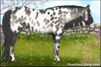 Horse Color:Blue Onyx Roan Mushroom Sabino Near Leopard 