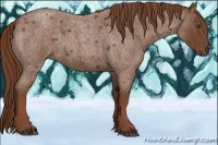 Horse Color:Red Roan 