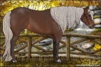 Horse Color:Silver Brown 