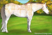 Horse Color:Plaid Bay Ice Onyx Splash