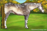 Horse Color:Painted Brown Ice Onyx 