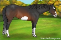 Horse Color:Brown Splash Frame 