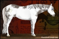 Horse Color:White Spotted Silver Black Sabino Splash Frame 