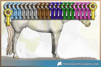 Horse Color:Smoky Creme Roan 