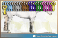 Horse Color:Smoky Creme Roan 