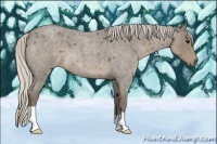 Horse Color:Silver Smoky Blue Roan 