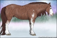 Horse Color:Chocolate Brown Ice Sabino 