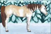 Horse Color:White Spotted Chocolate Bay Dun Splash