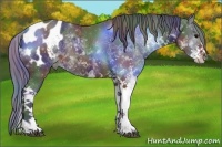 Horse Color:Nacre Brown Sabino Appaloosa Rabicano 