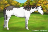 Horse Color:Smoky Grullo Splash