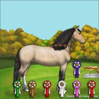 Horse Color:Buckskin Roan 