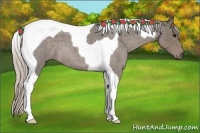 Horse Color:Silver Blue Roan Tobiano