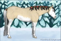 Horse Color:Buckskin Roan Dun Splash