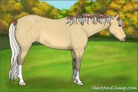 Horse Color:Silver Buckskin Roan 