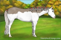 Horse Color:Silver Grullo Splash 