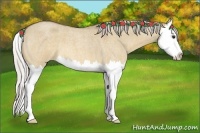 Horse Color:Silver Bay Roan Dun Splash 