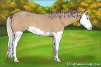 Horse Color:Silver Brown Roan Dun Splash