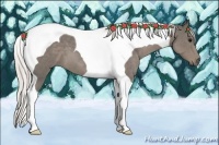 Horse Color:Silver Blue Roan Tobiano