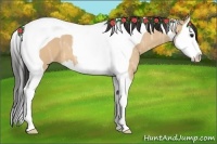 Horse Color:Bay Ice Dun Splash Tobiano