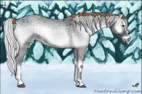 Horse Color:Silver Blue Onyx Chinchilla Roan 