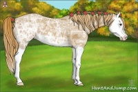 Horse Color:Red Ice Roan Splash