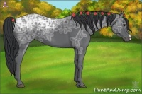 Horse Color:Black Ice 