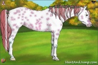 Horse Color:Painted Watercolor Silver Bay Dun Sabino Splash